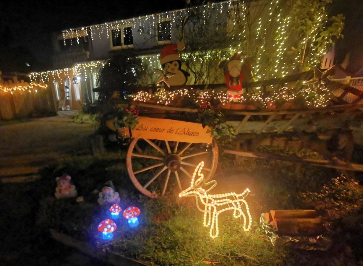 Au Coeur De L'Alsace Villa Eschau Dış mekan fotoğraf